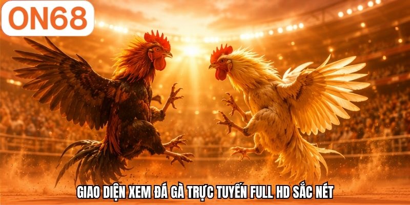 Giao diện xem đá gà trực tuyến Full HD sắc nét